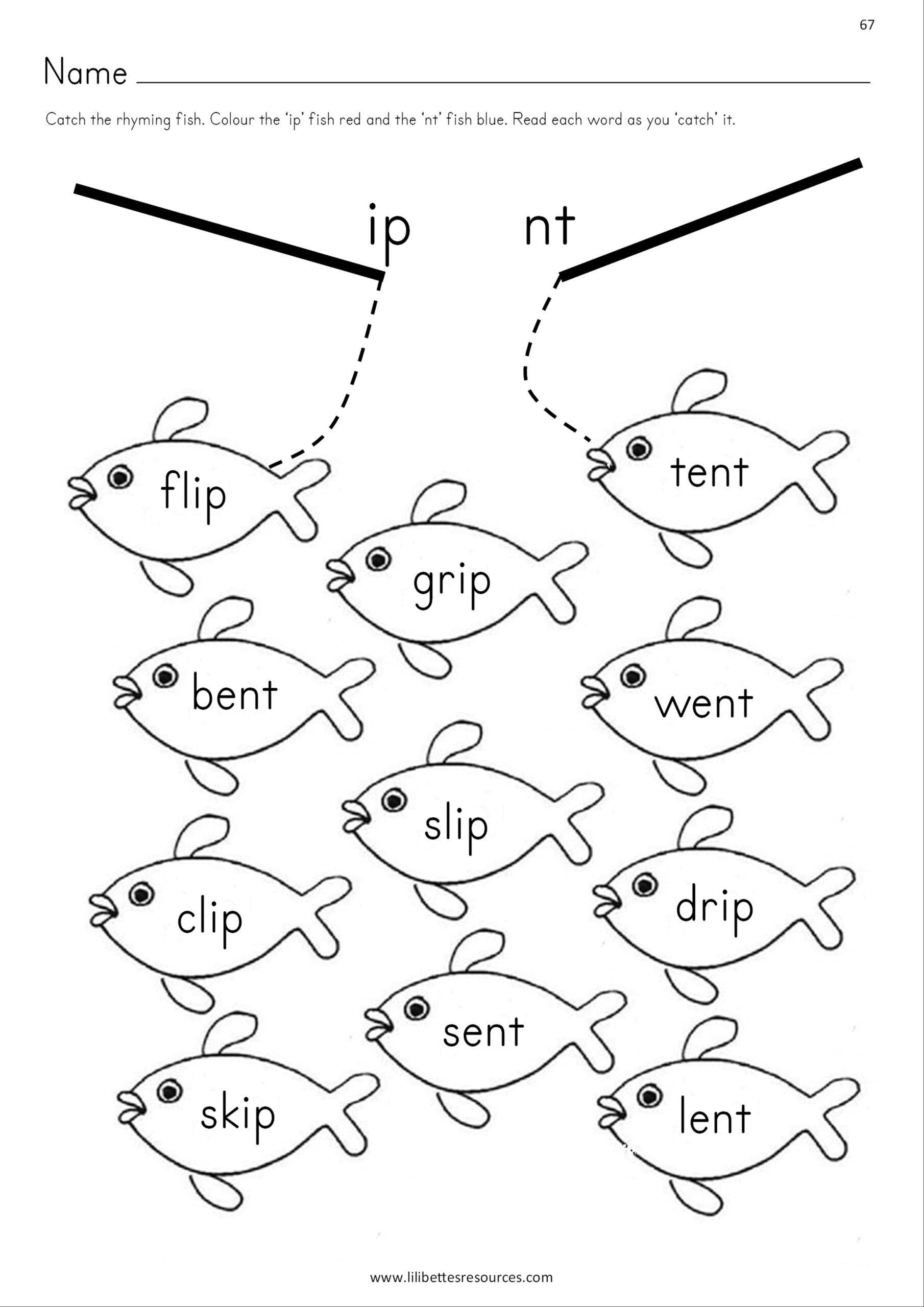 CVCC Words Worksheets SOUND IT OUT PHONICS CVCC Words Worksheets SOUND IT OUT PHONICS