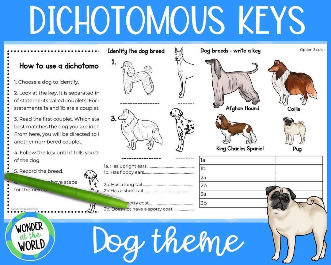 Dichotomous Keys Activities Worksheets For Elementary Or Primary Science Dog Theme A4 And 8 5 X 11 Digital Download PDF Etsy Dichotomous Keys Activities Worksheets For Elementary Or Primary Science Dog Theme A4 And 8 5 X 11 Digital Download PDF Etsy