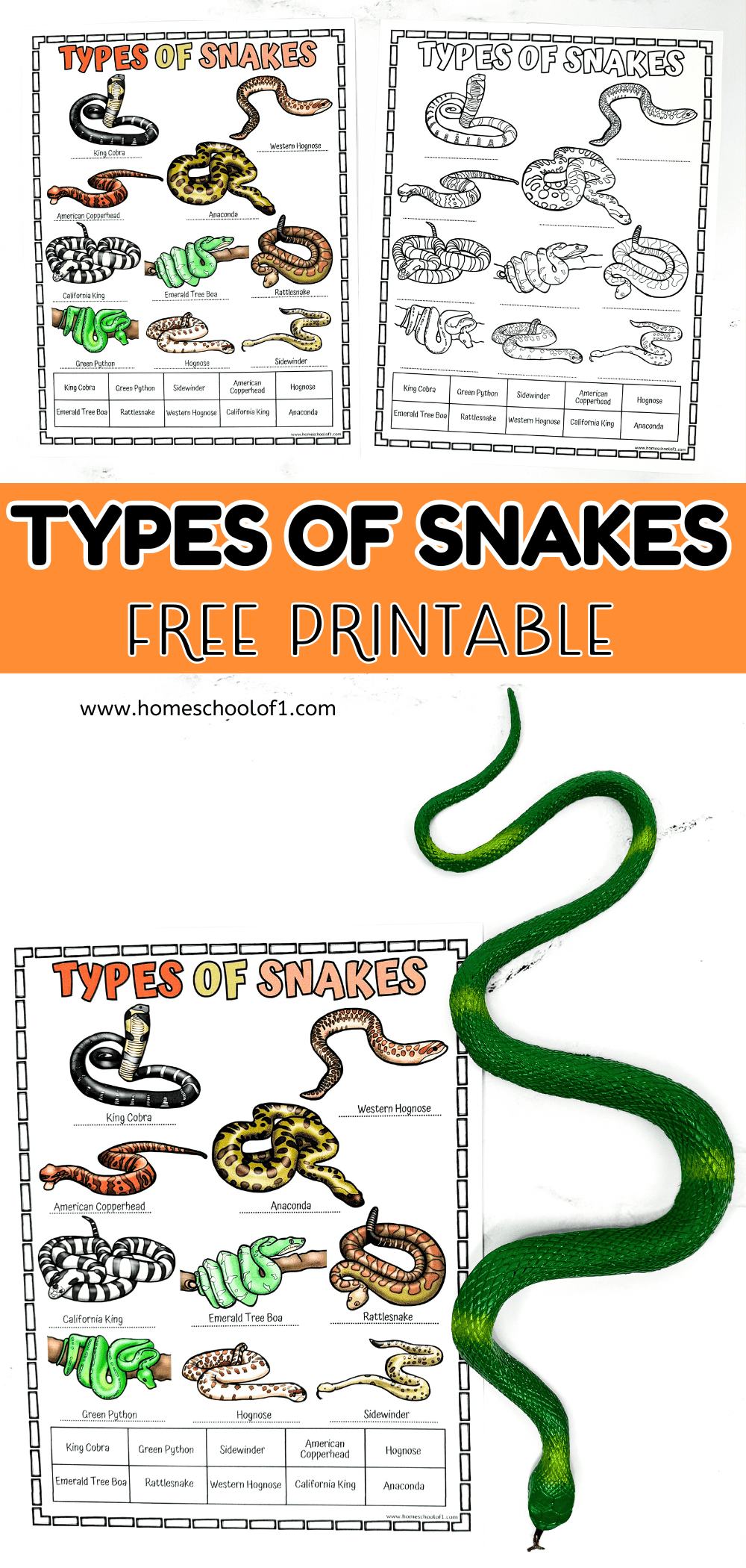 Free Printable Snake Worksheets Free Printable Snake Worksheets