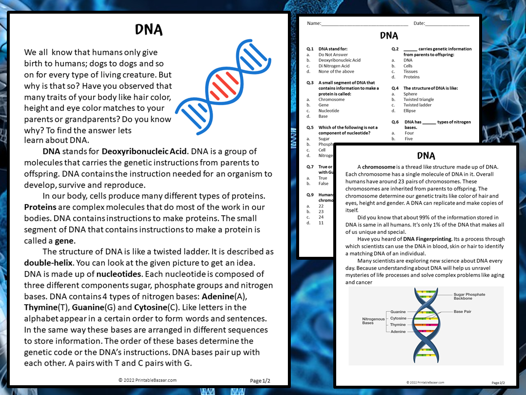 DNA Reading Comprehension Passage And Questions PDF Teaching DNA Reading Comprehension Passage And Questions PDF Teaching