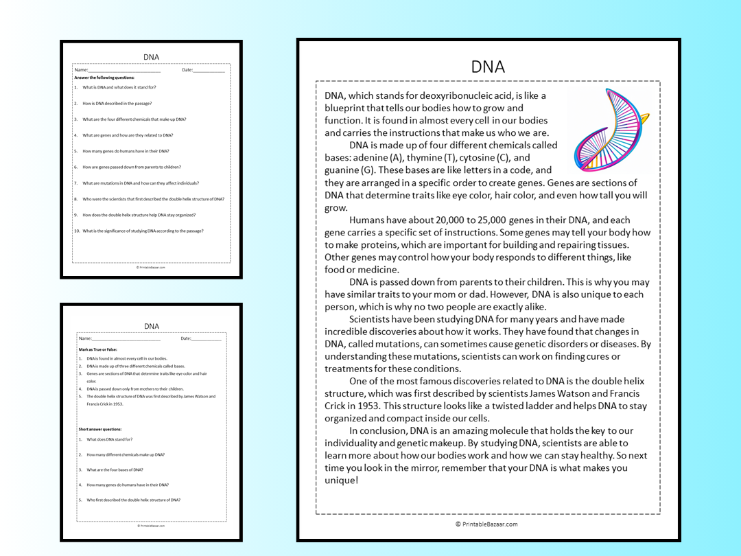DNA Reading Comprehension Passage Printable Worksheet Teaching DNA Reading Comprehension Passage Printable Worksheet Teaching