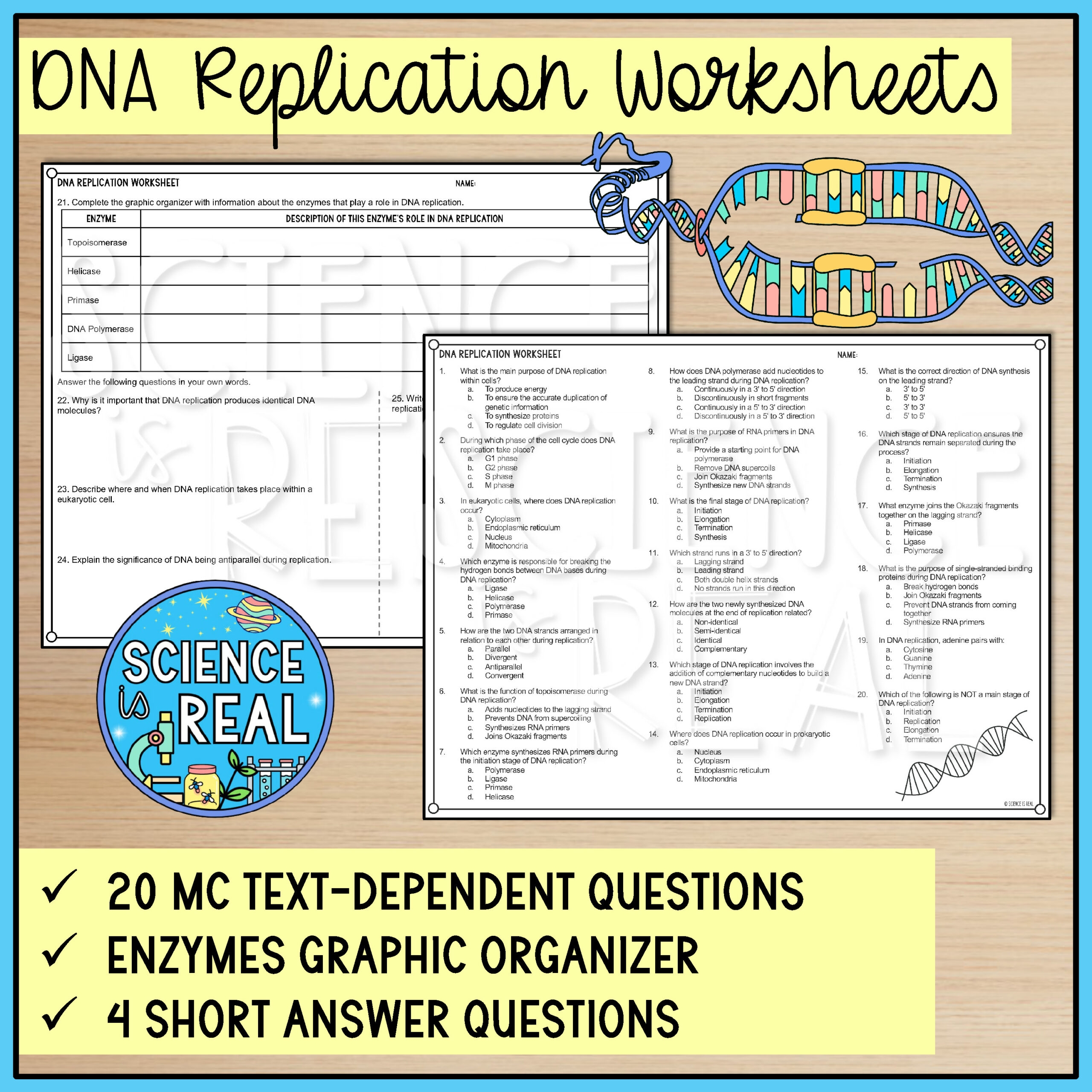DNA Replication Color By Number Reading And Worksheets Classful