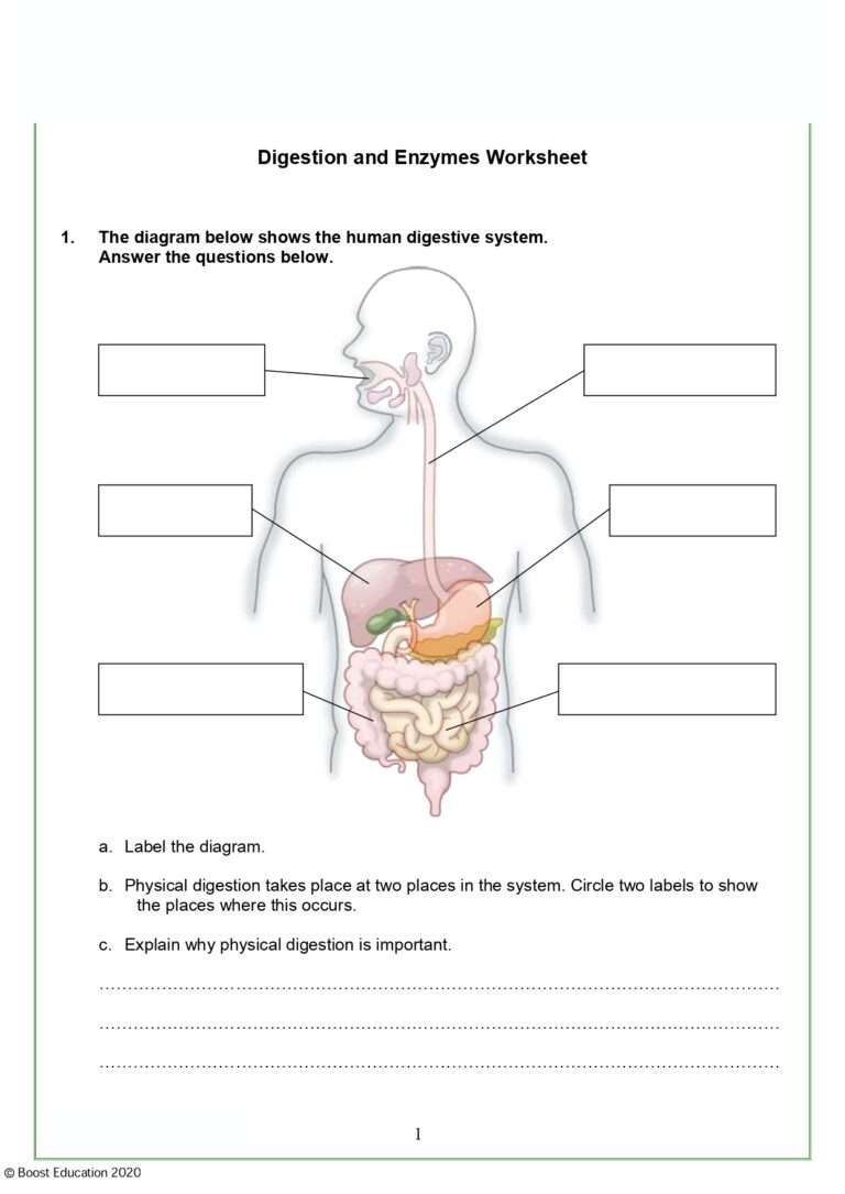 Download Free Printable Science Worksheets Boost Education