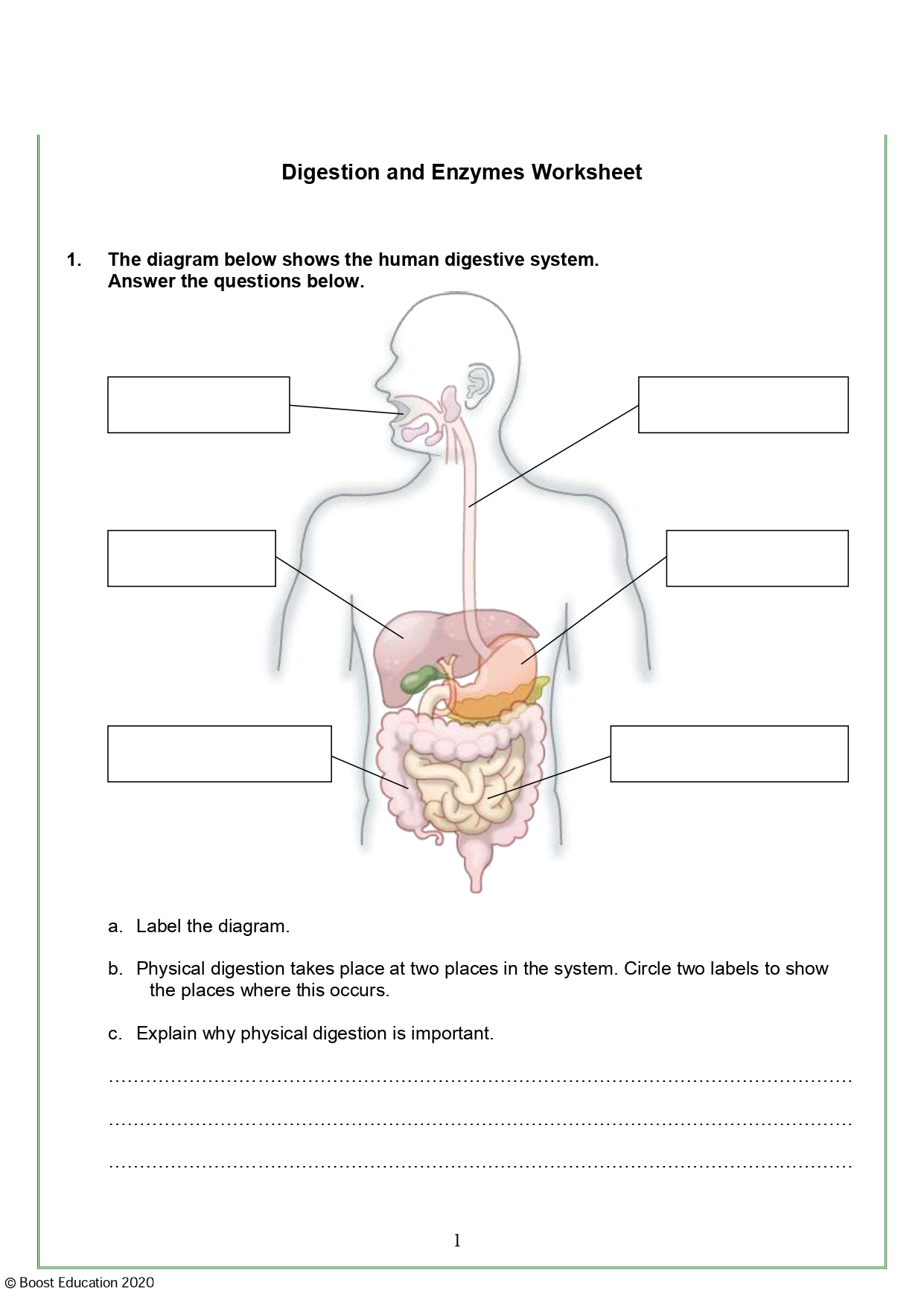 Download Free Printable Science Worksheets Boost Education Download Free Printable Science Worksheets Boost Education