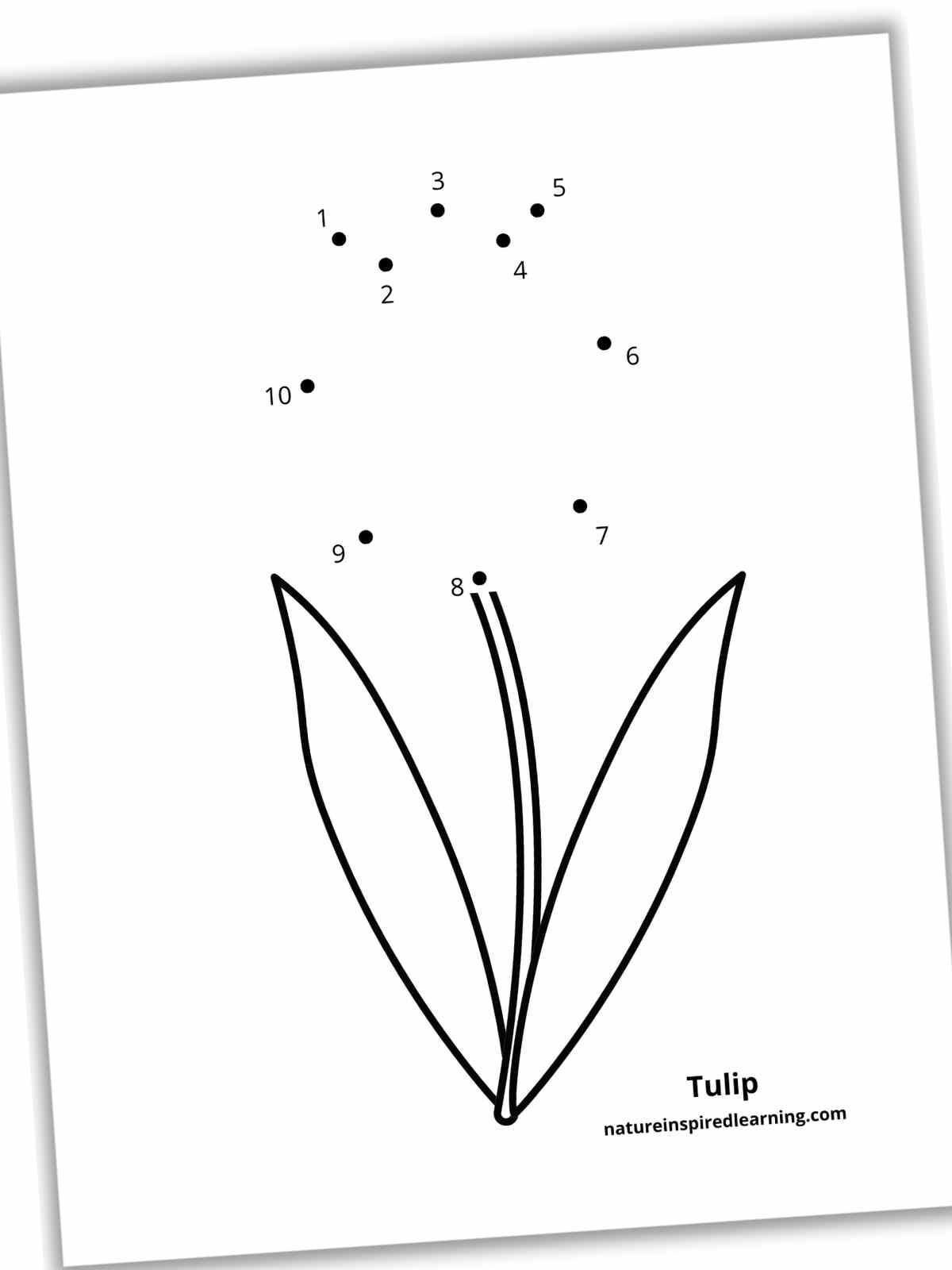 Connect Number Dots Worksheets Printable