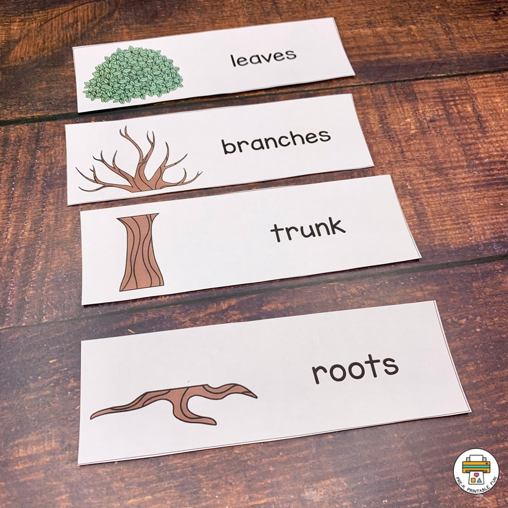 Fall Leaves And Trees Preschool Activities