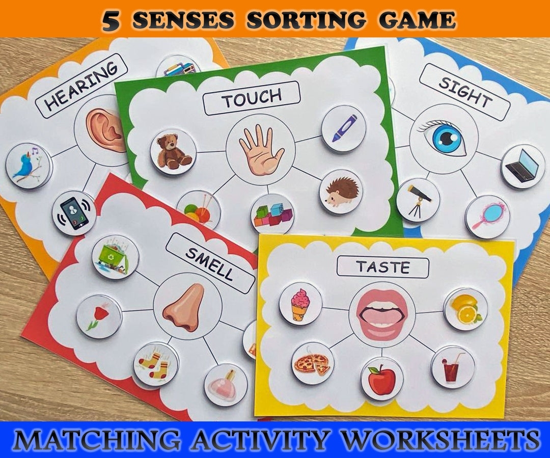 Five Senses Sorting Activity Printable 5 Senses Sorting Homeschool Resource Busy Books Activity Busy Book Printable Worksheets Etsy UK