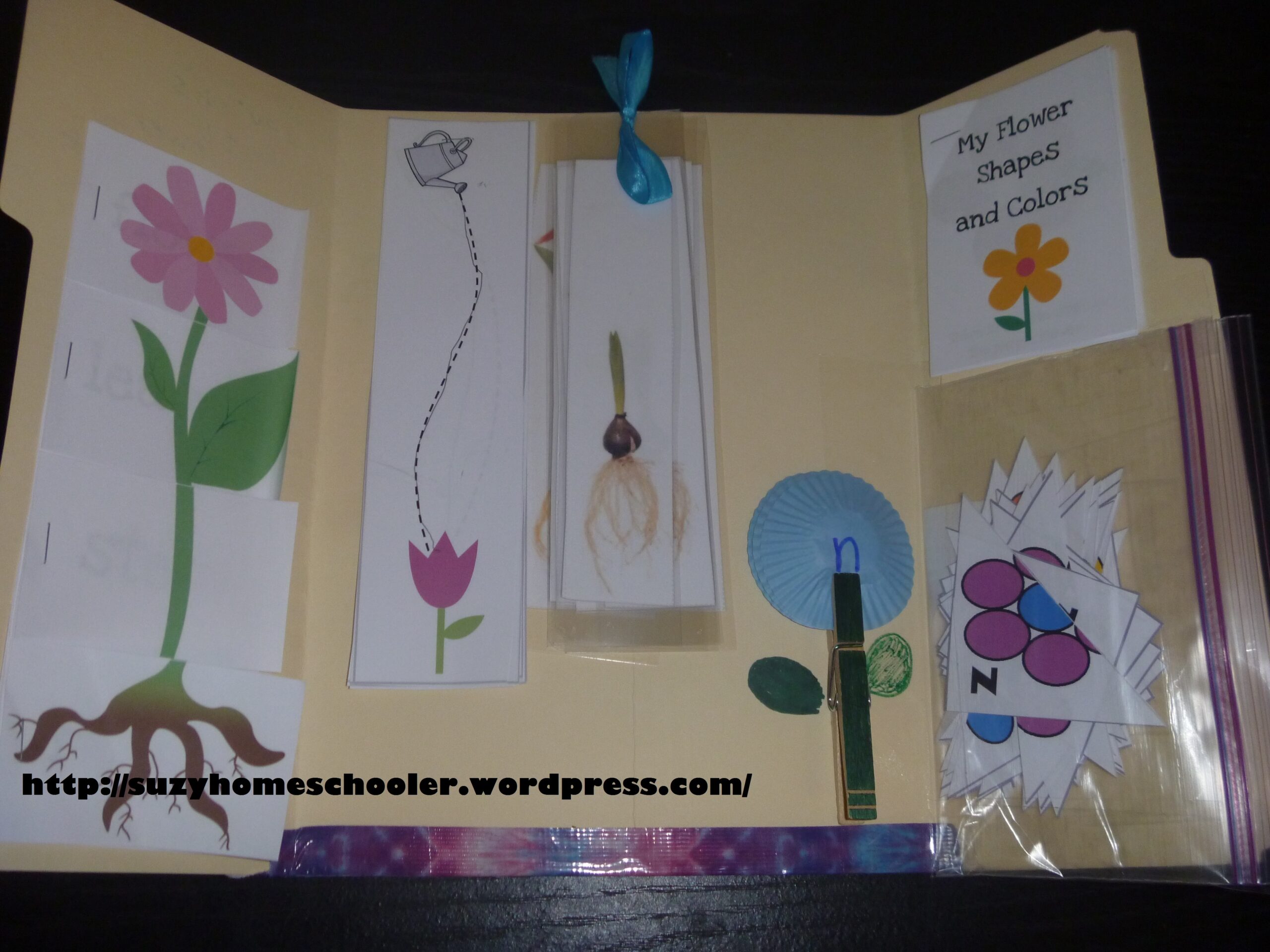 Flower Lapbook And Free Printable Suzy Homeschooler Flower Lapbook And Free Printable Suzy Homeschooler