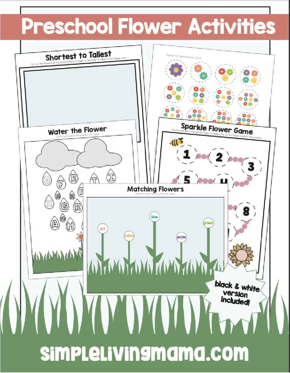 Free Printable Flowers Worksheets For Kindergarten