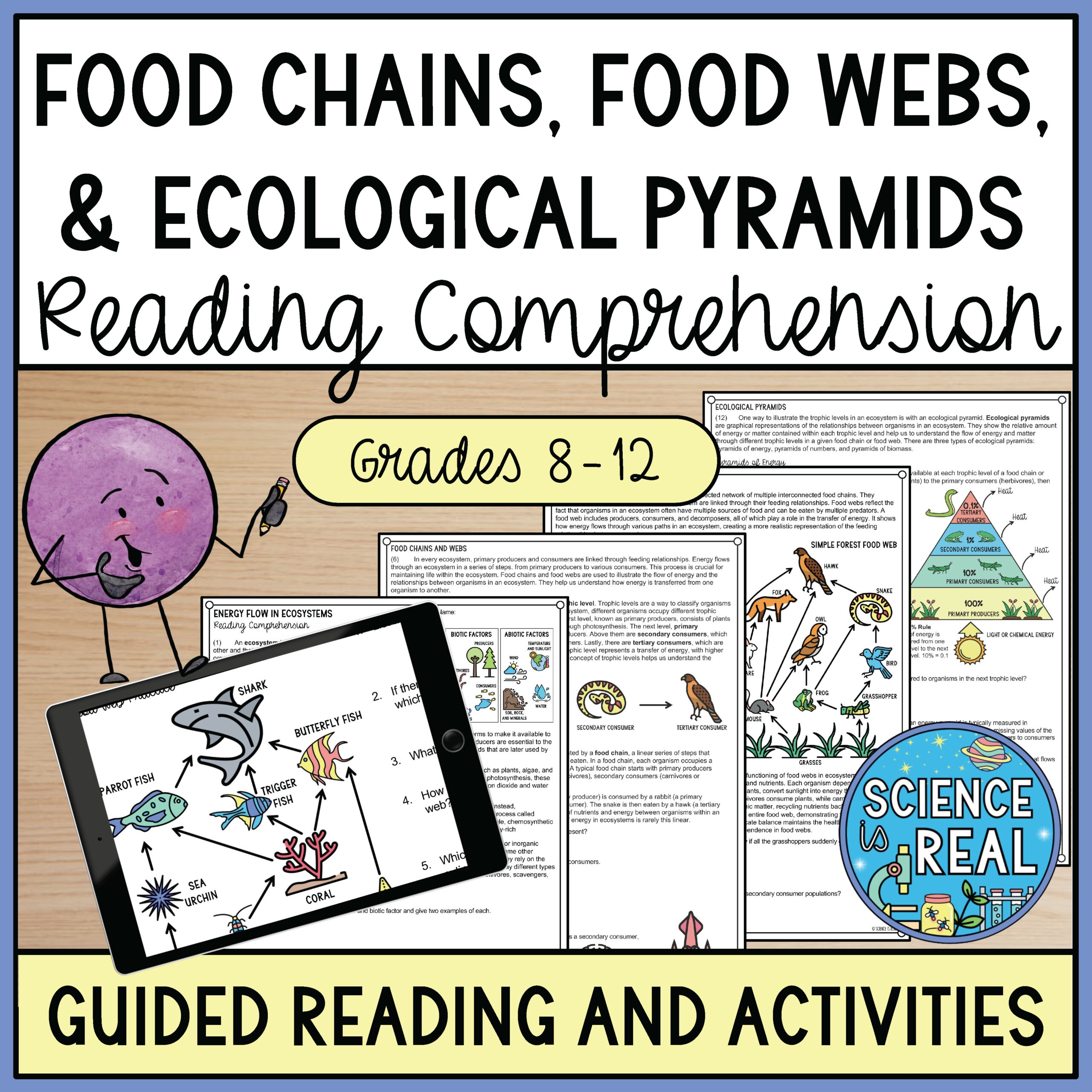 Food Chains Food Webs And Energy Pyramids Reading Comprehension Food Chains Food Webs And Energy Pyramids Reading Comprehension