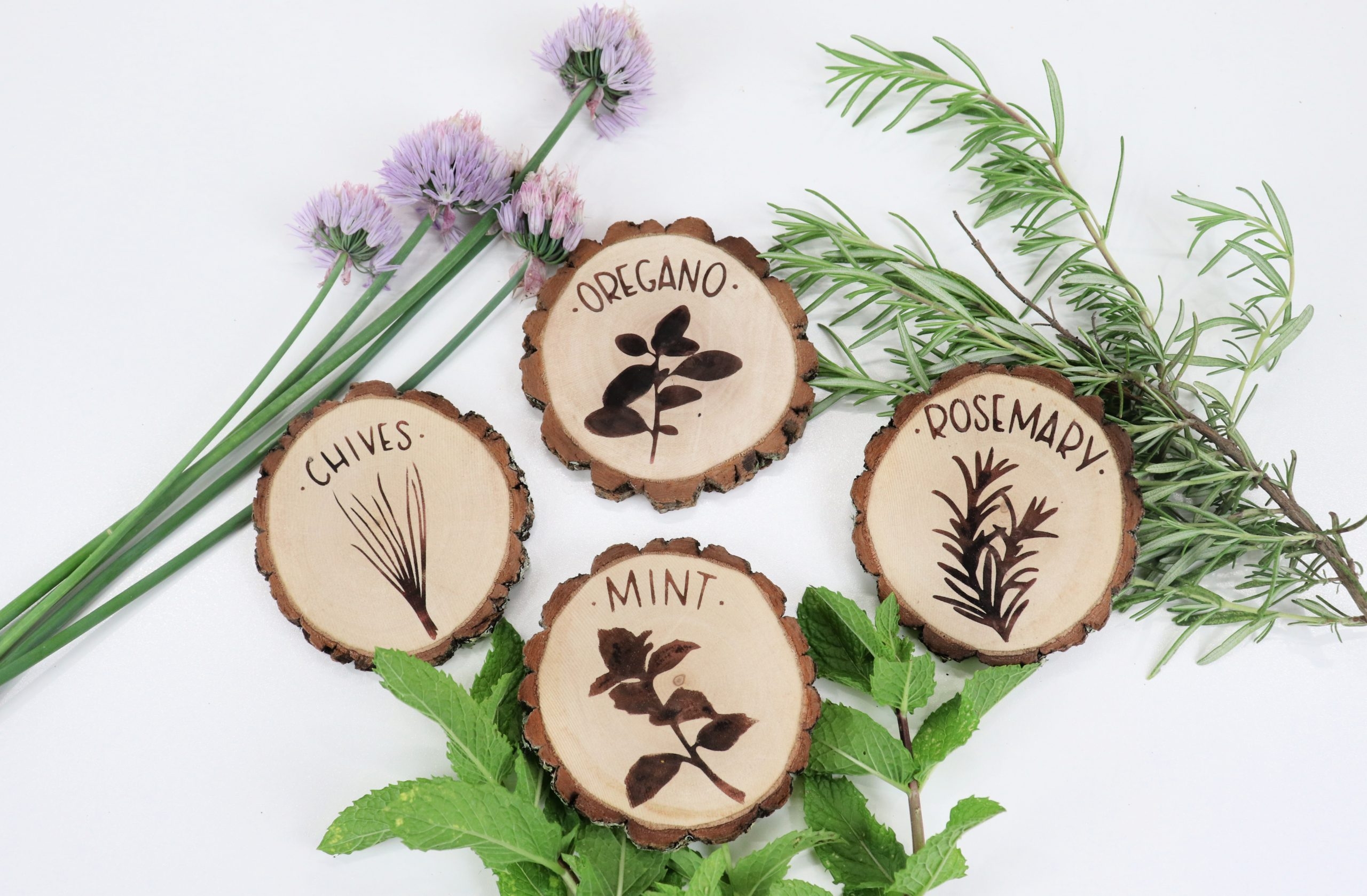 Free Herb Garden Stencils 3 Easy Projects Amy Latta Creations