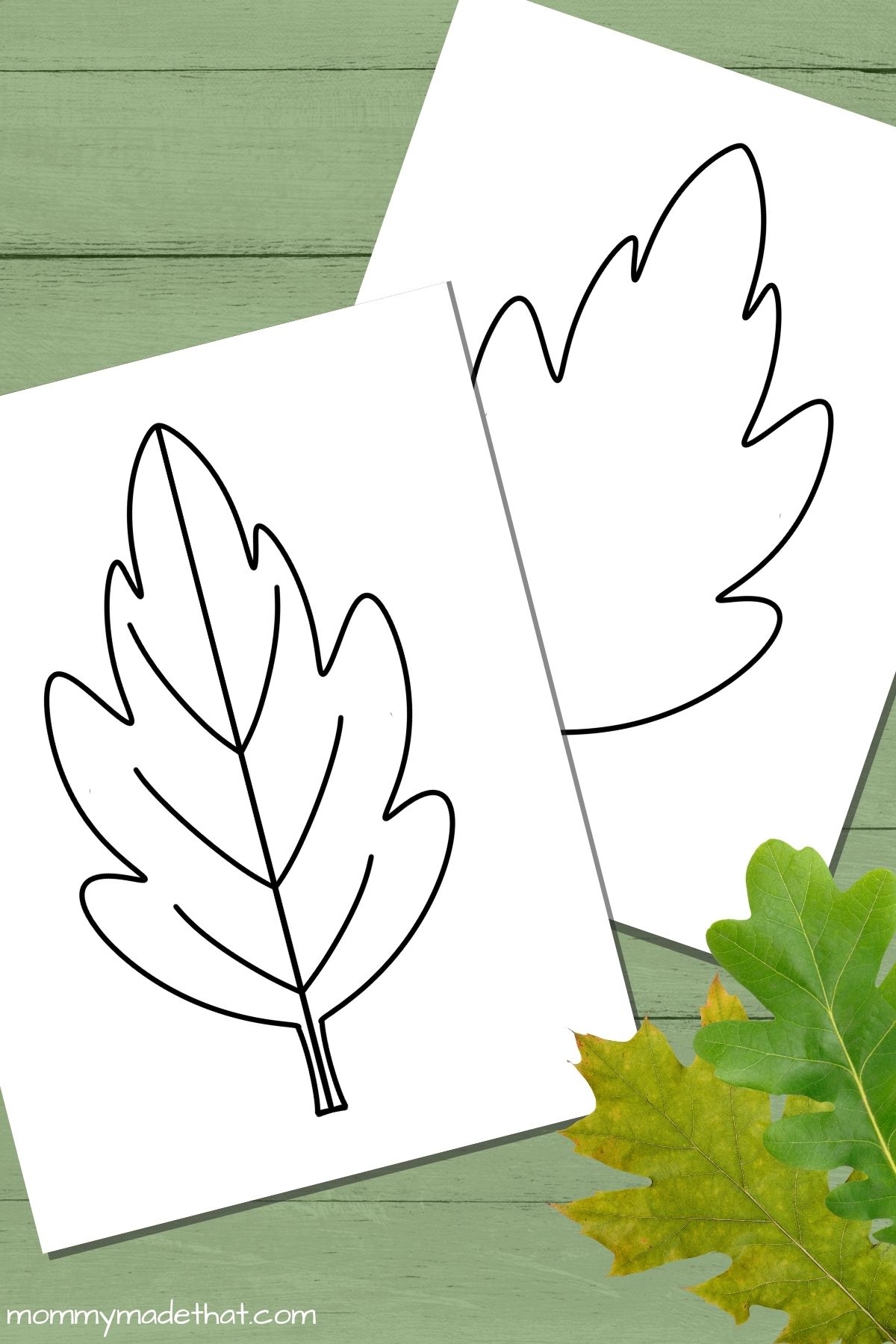 Free Leaf Templates Outlines Tons Of Printables Free Leaf Templates Outlines Tons Of Printables
