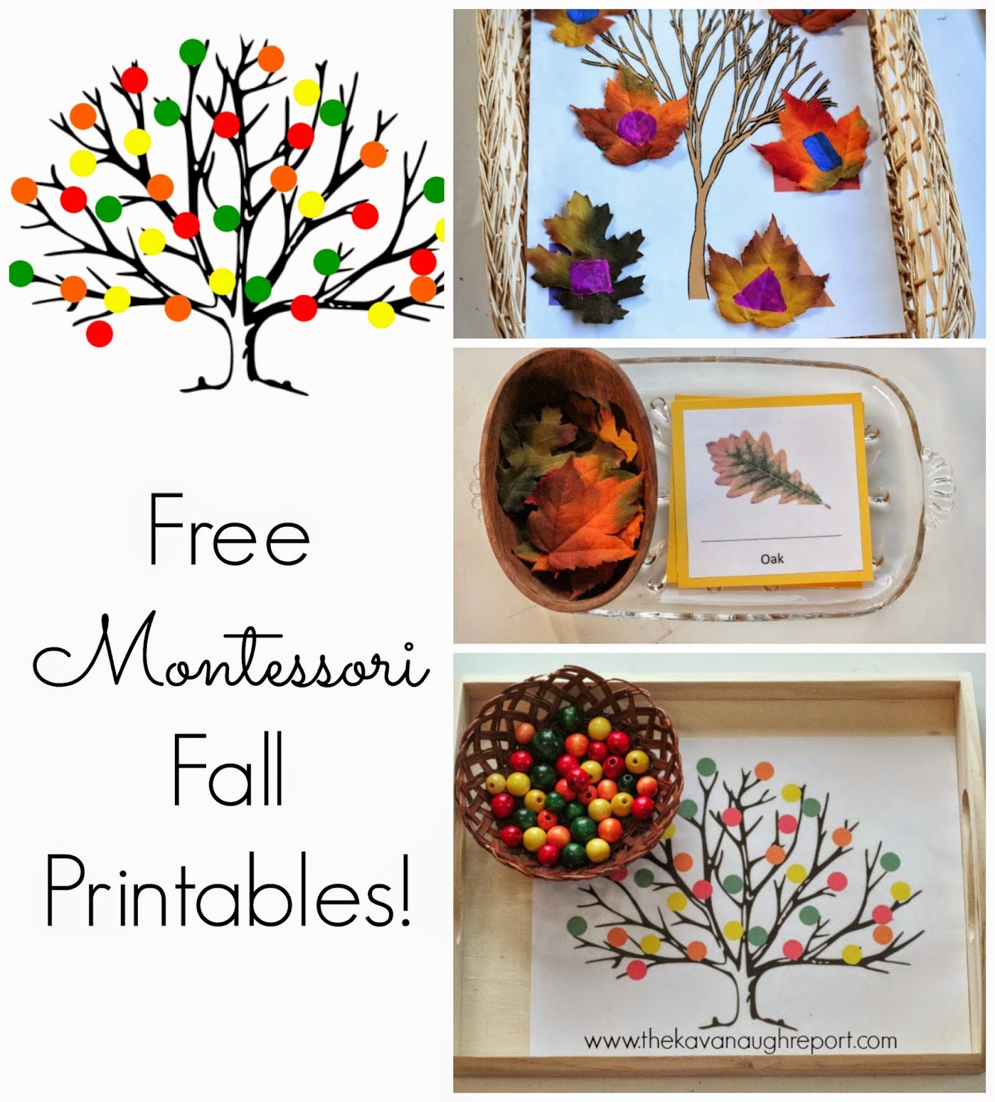 Free Montessori Inspired Fall Printables Free Montessori Inspired Fall Printables