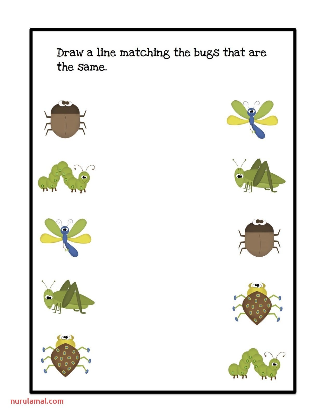 Free Preschool Insect Theme Printables And Activities The Worksheets Library