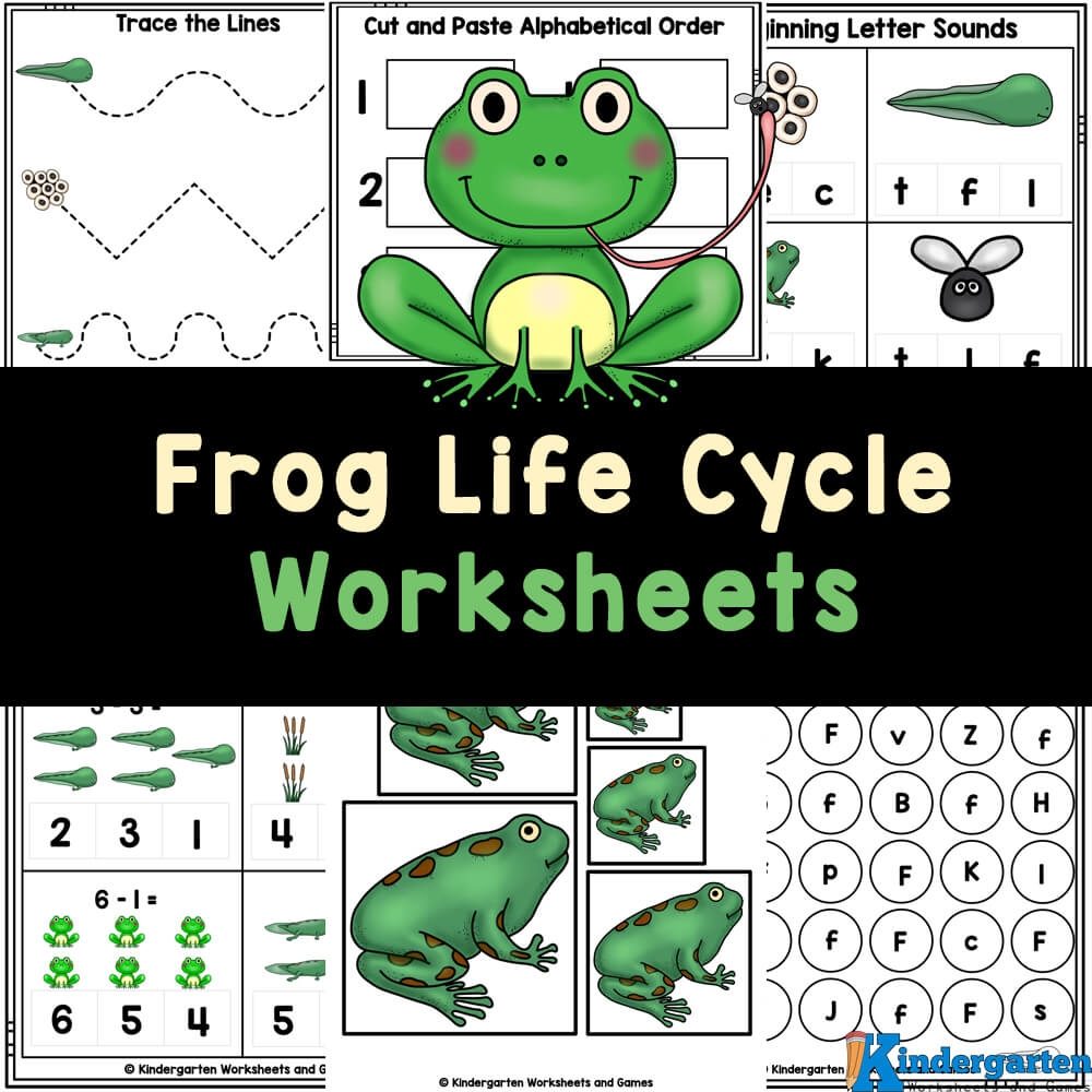 FREE Printable Frog Life Cycle Worksheets FREE Printable Frog Life Cycle Worksheets