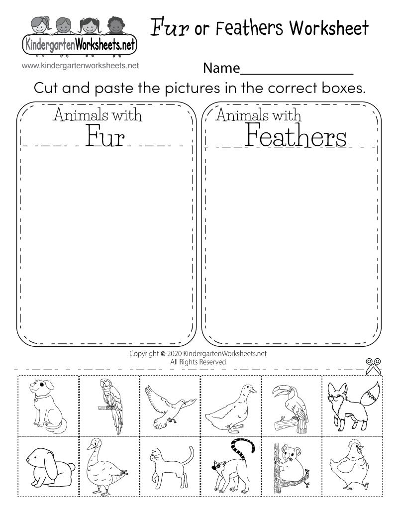 Printable Science Worksheets Free Printable Science Worksheets Free