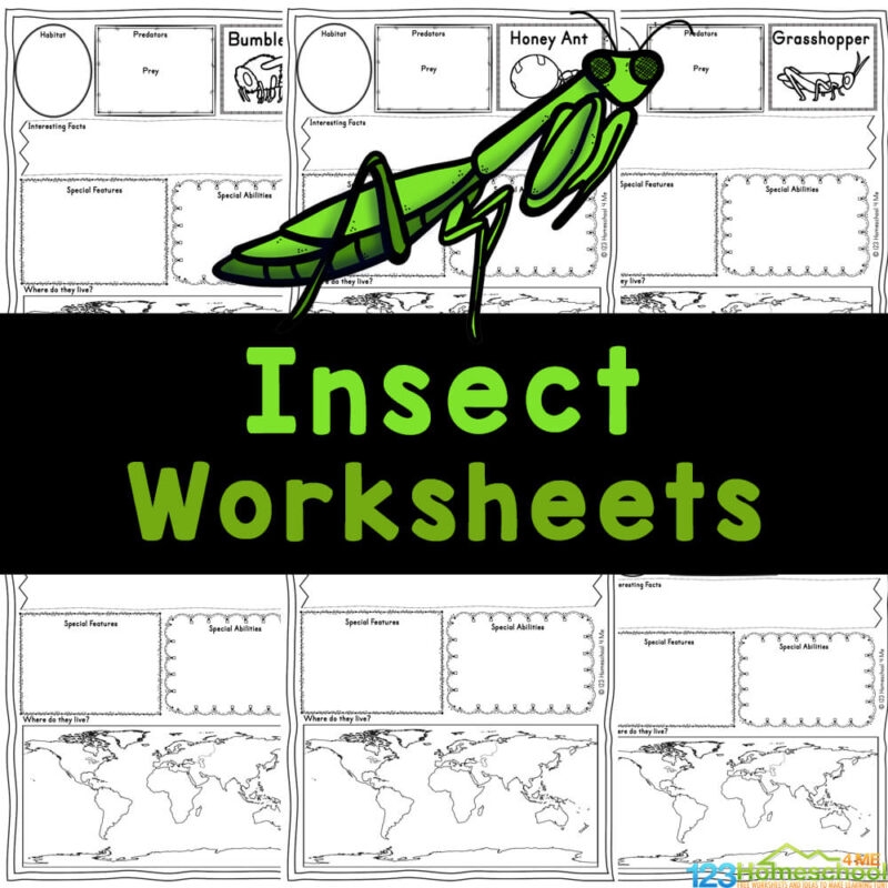  FREE Printable Insect Worksheets For Kids