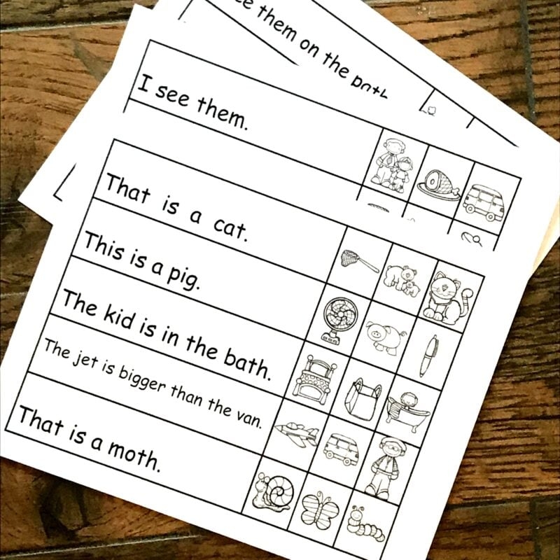FREE TH Worksheets Reading Th Words In A Sentence FREE TH Worksheets Reading Th Words In A Sentence