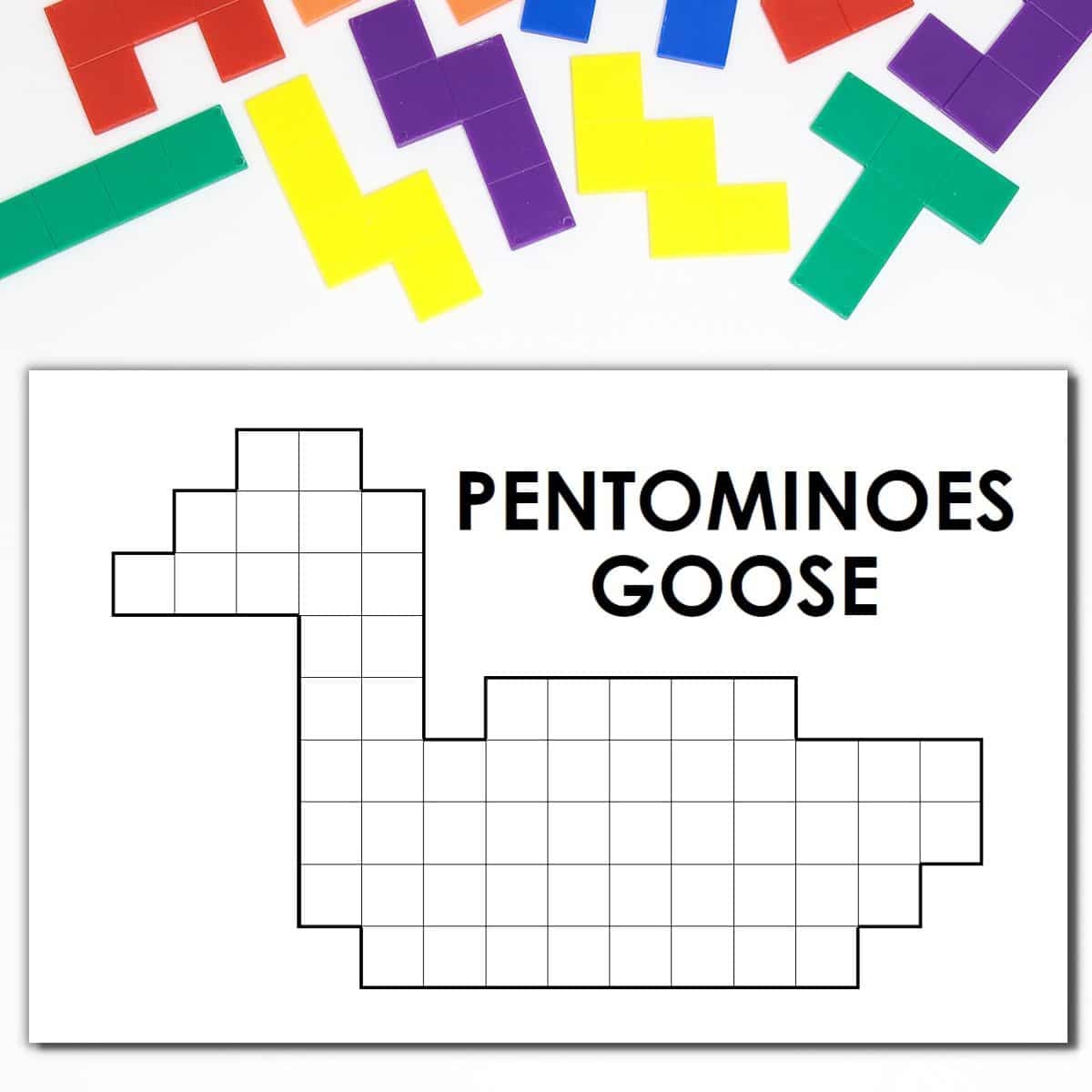 Goose Pentominoes Puzzle Math Love
