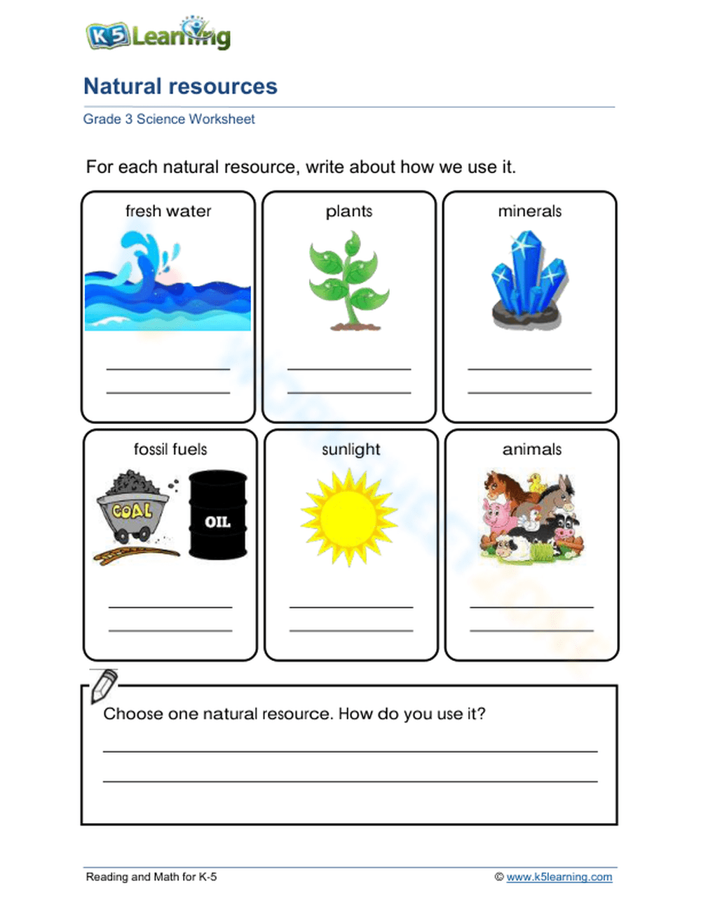 Free Worksheets For First Grade Science