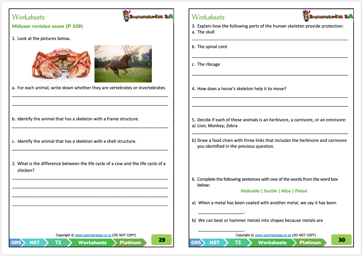 Grade 5 Natural Sciences Technology NST Term 2 Platinum Activities And Worksheets Classroom101