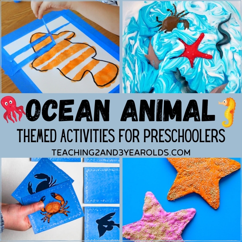 Hands On Toddler And Preschool Ocean Activities Hands On Toddler And Preschool Ocean Activities