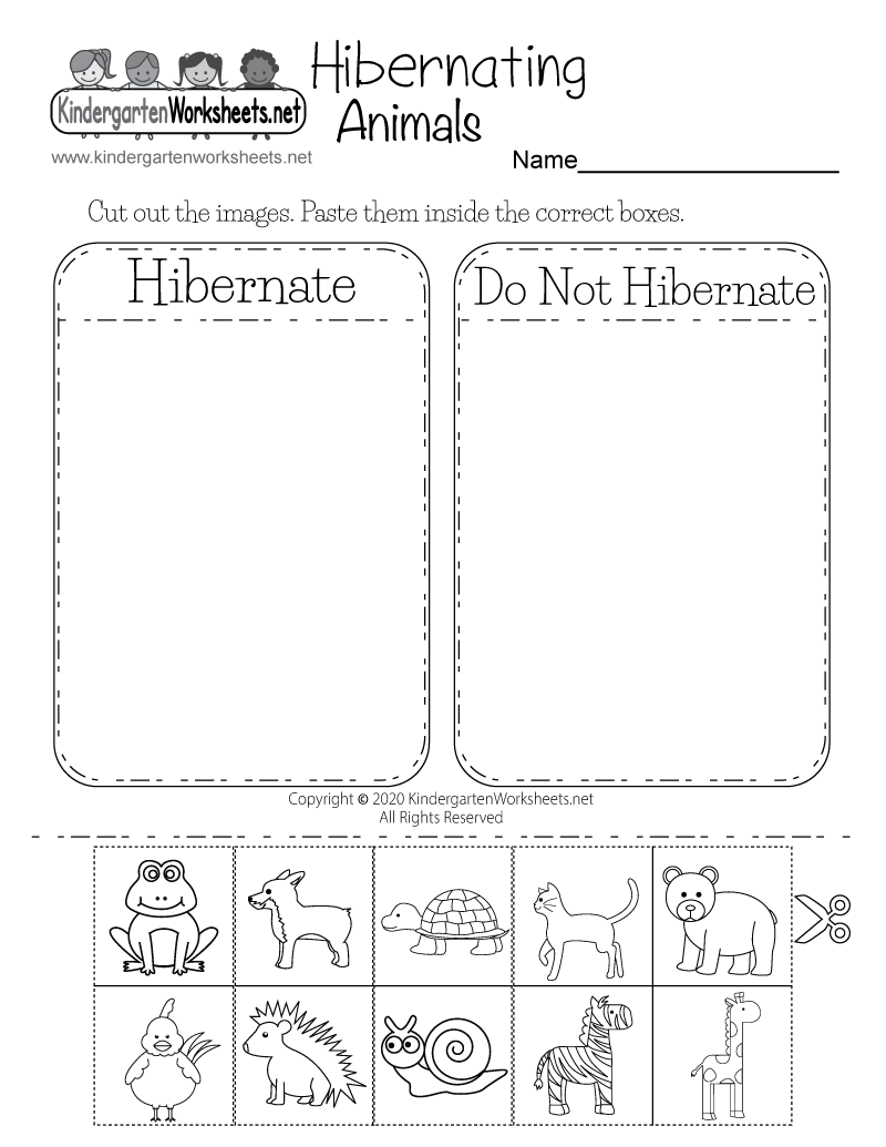 Hibernating Animals Worksheet Free Printable Digital U0026 PDF Hibernating Animals Worksheet Free Printable Digital U0026 PDF