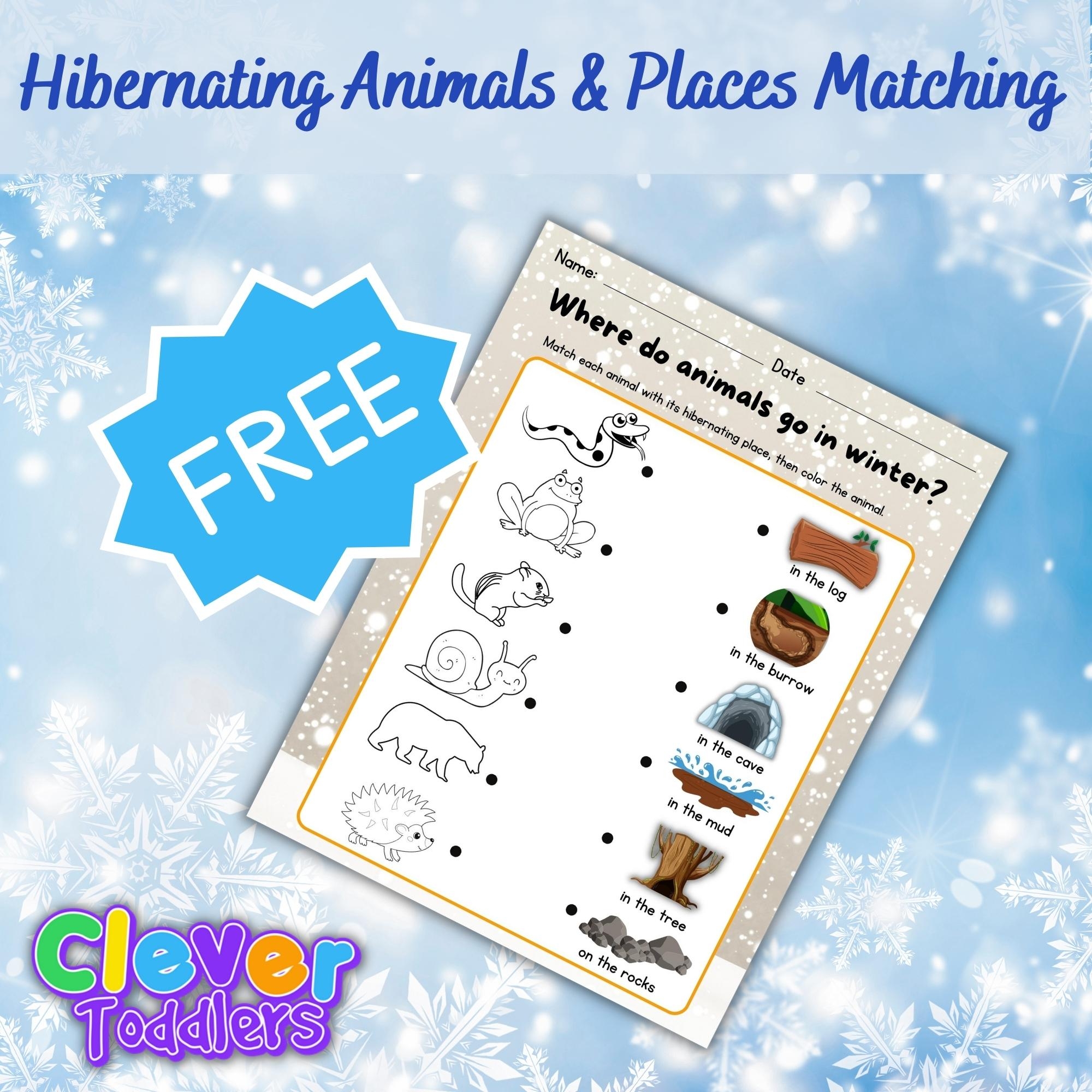 Hibernation Matching Hibernating Animals With Their Winter Habitats Activities Made By Teachers Hibernation Matching Hibernating Animals With Their Winter Habitats Activities Made By Teachers