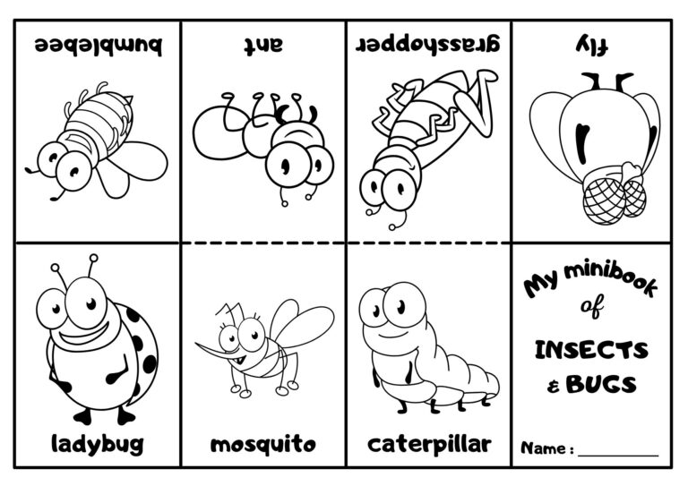 Insects And Bugs Mini Coloring Book Ezpzlearn
