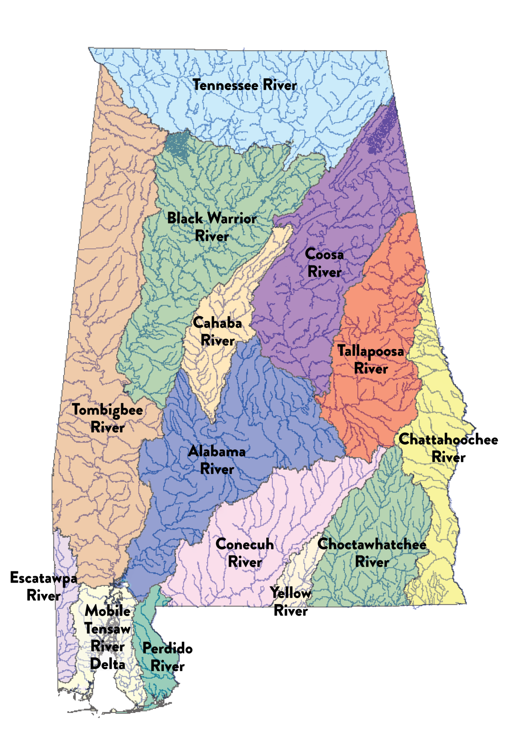 Investigate Alabama s Waterways