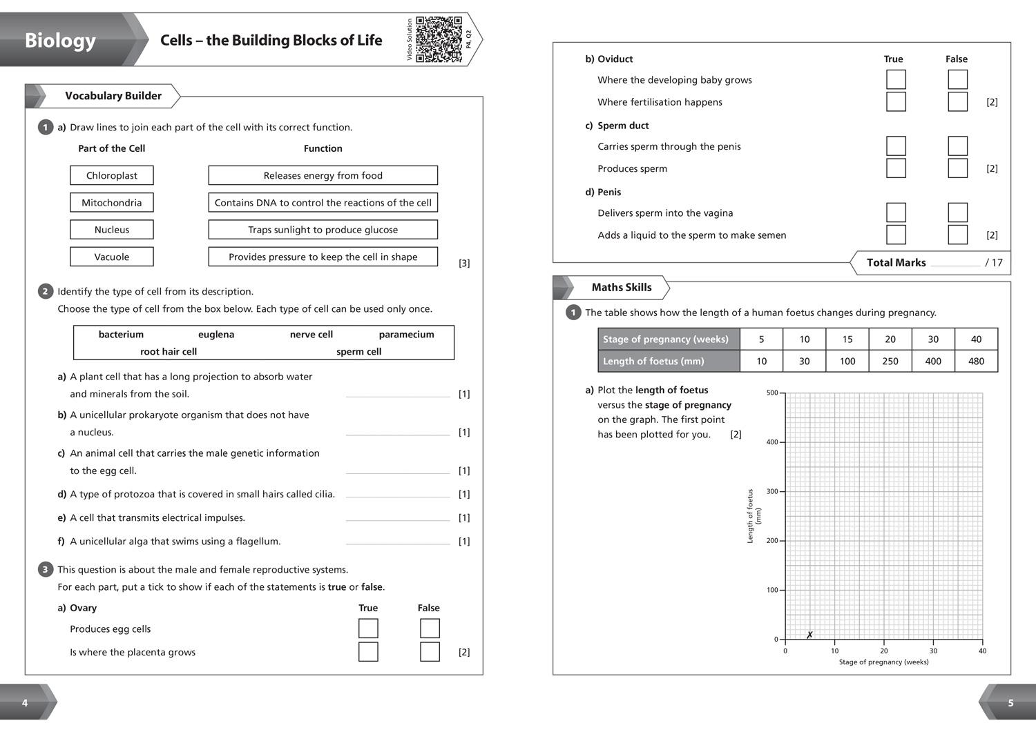 KS3 Science Year 7 Workbook By Collins Issuu KS3 Science Year 7 Workbook By Collins Issuu