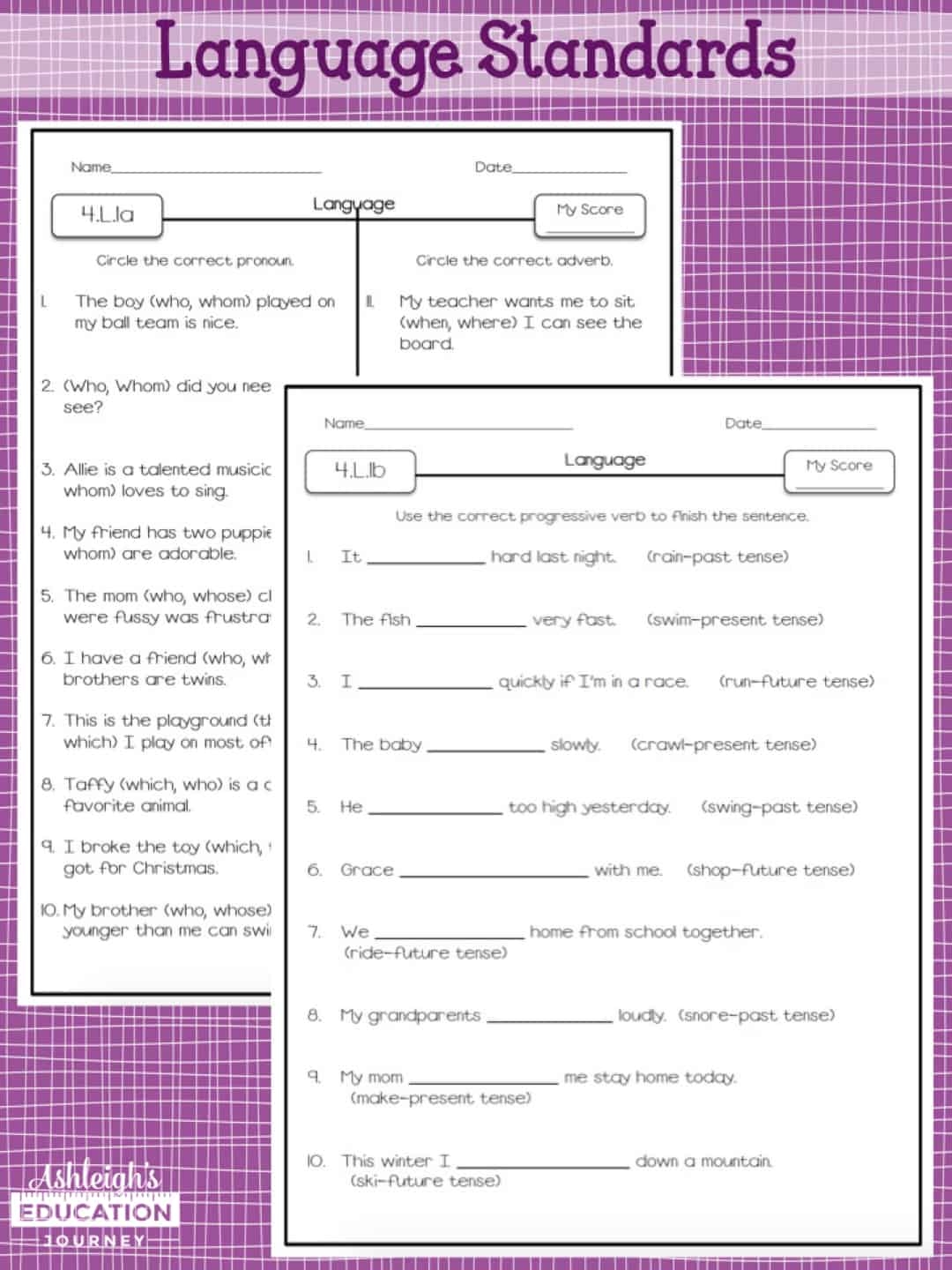 Language Arts Assessments Ashleigh s Education Journey