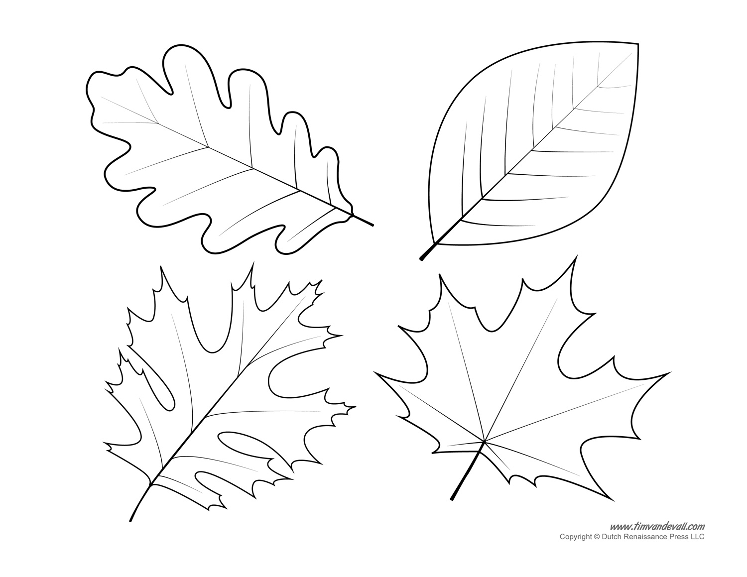 Leaf Templates U0026 Leaf Coloring Pages For Kids Leaf Printables Worksheets Library Leaf Templates U0026 Leaf Coloring Pages For Kids Leaf Printables Worksheets Library