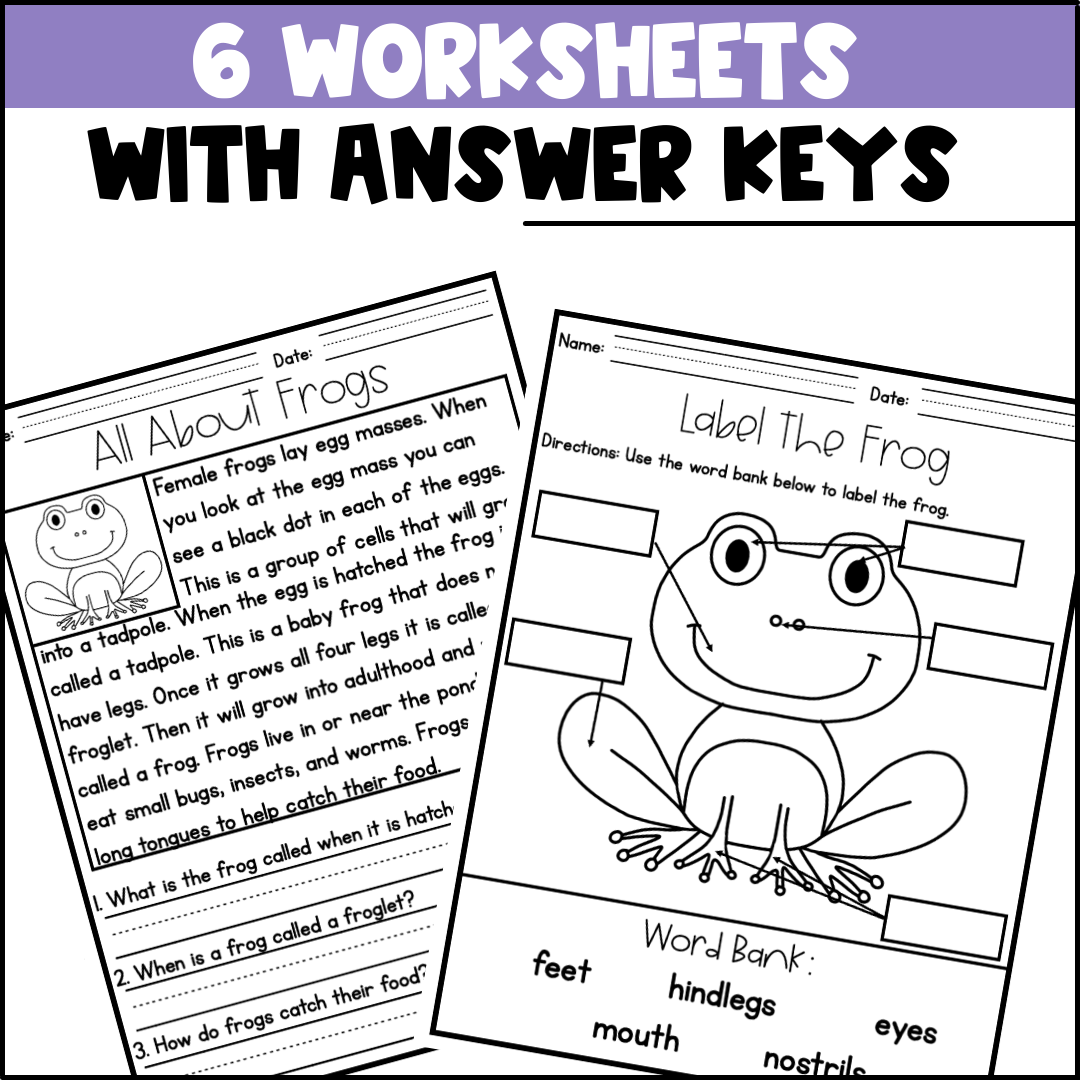 Life Cycle Of A Frog Activities Worksheets Booklet Posters Frog Life Cycle Made By Teachers