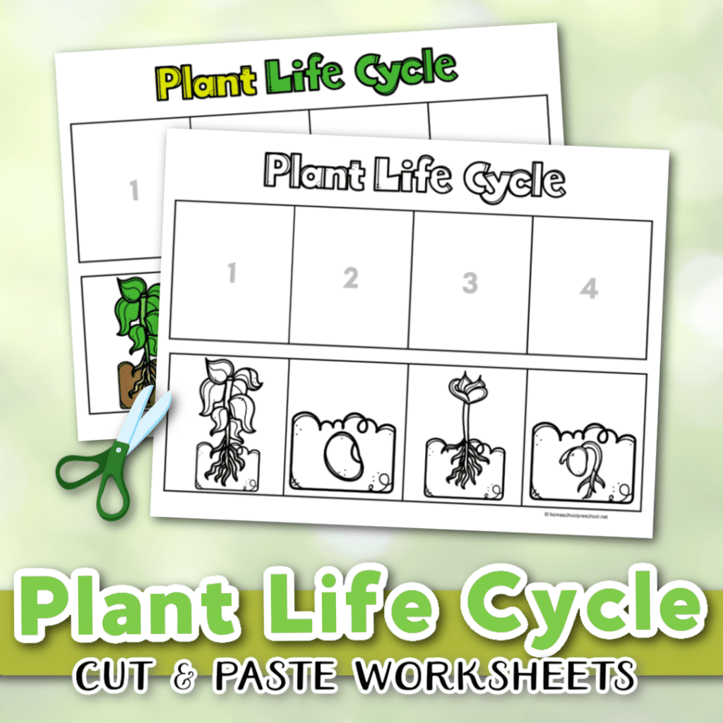 Plants Printable For Preschool
