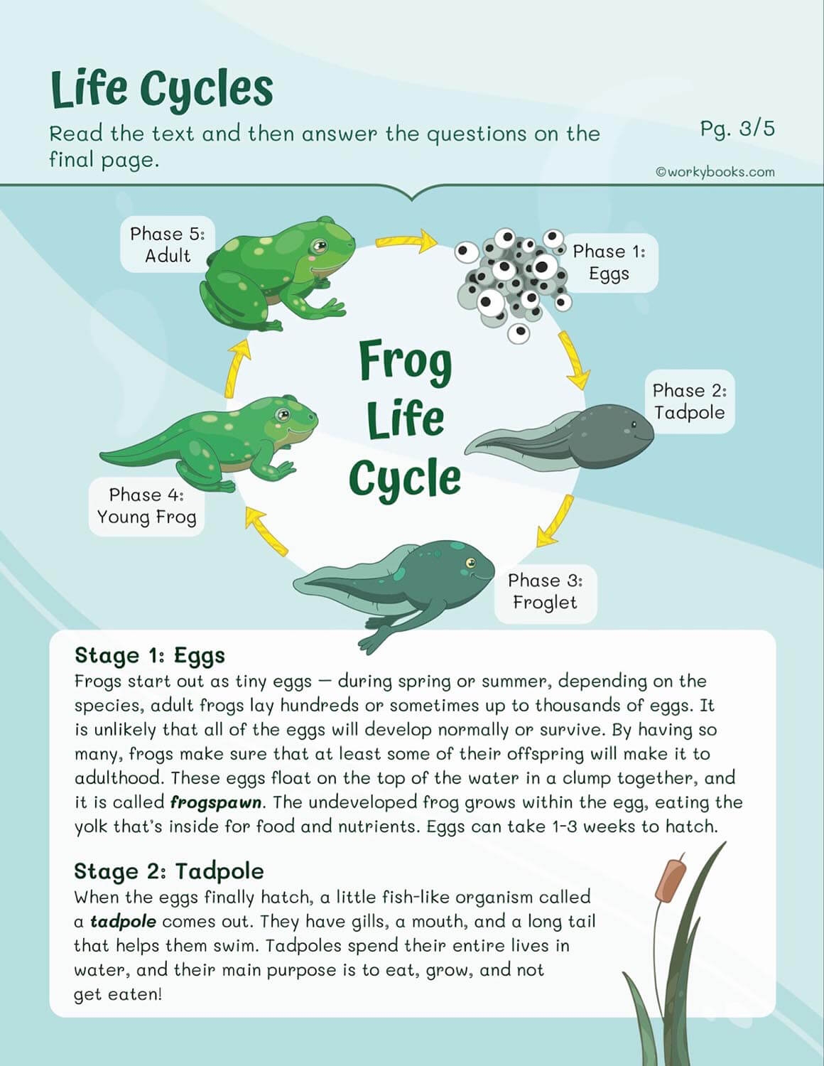 Free Printable Worksheets For Biology Free Printable Worksheets For Biology