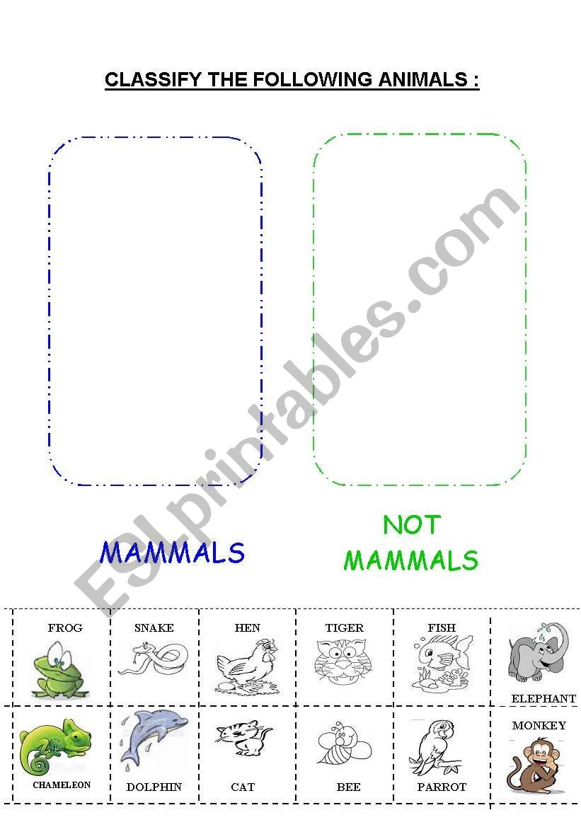 MAMMALS ESL Worksheet By Escolapia MAMMALS ESL Worksheet By Escolapia