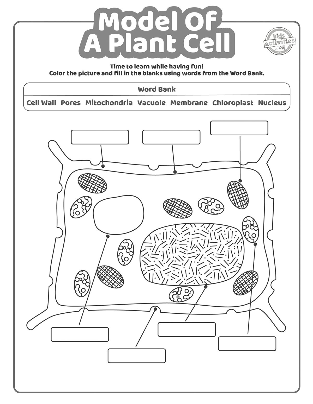 Model Of A Plant Cell Worksheet Coloring Pages Kids Activities Blog