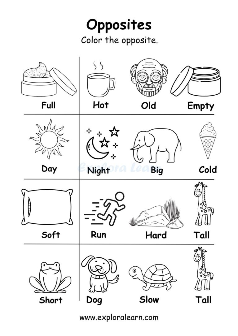 Opposites Comparison Worksheets For Preschool And Kindergarten 2 To 6 Years Kids