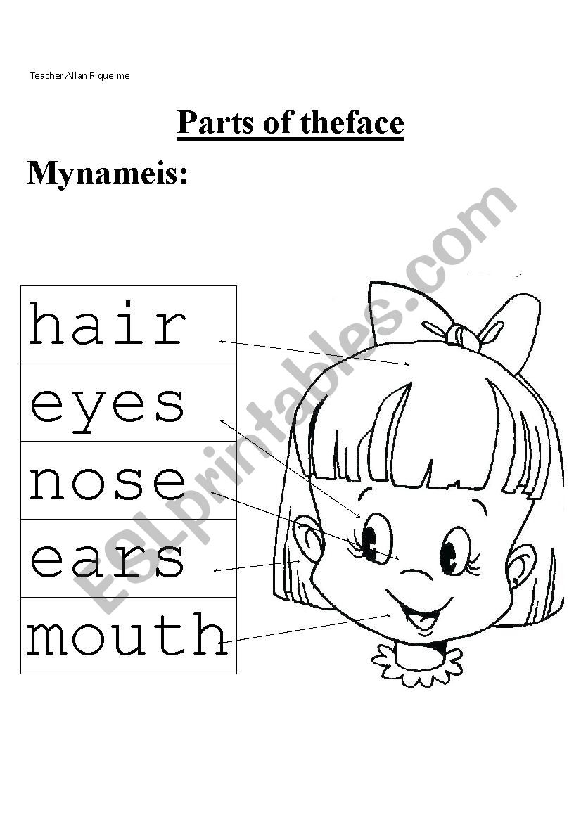Parts Of The Face Printable Worksheet Parts Of The Face Printable Worksheet