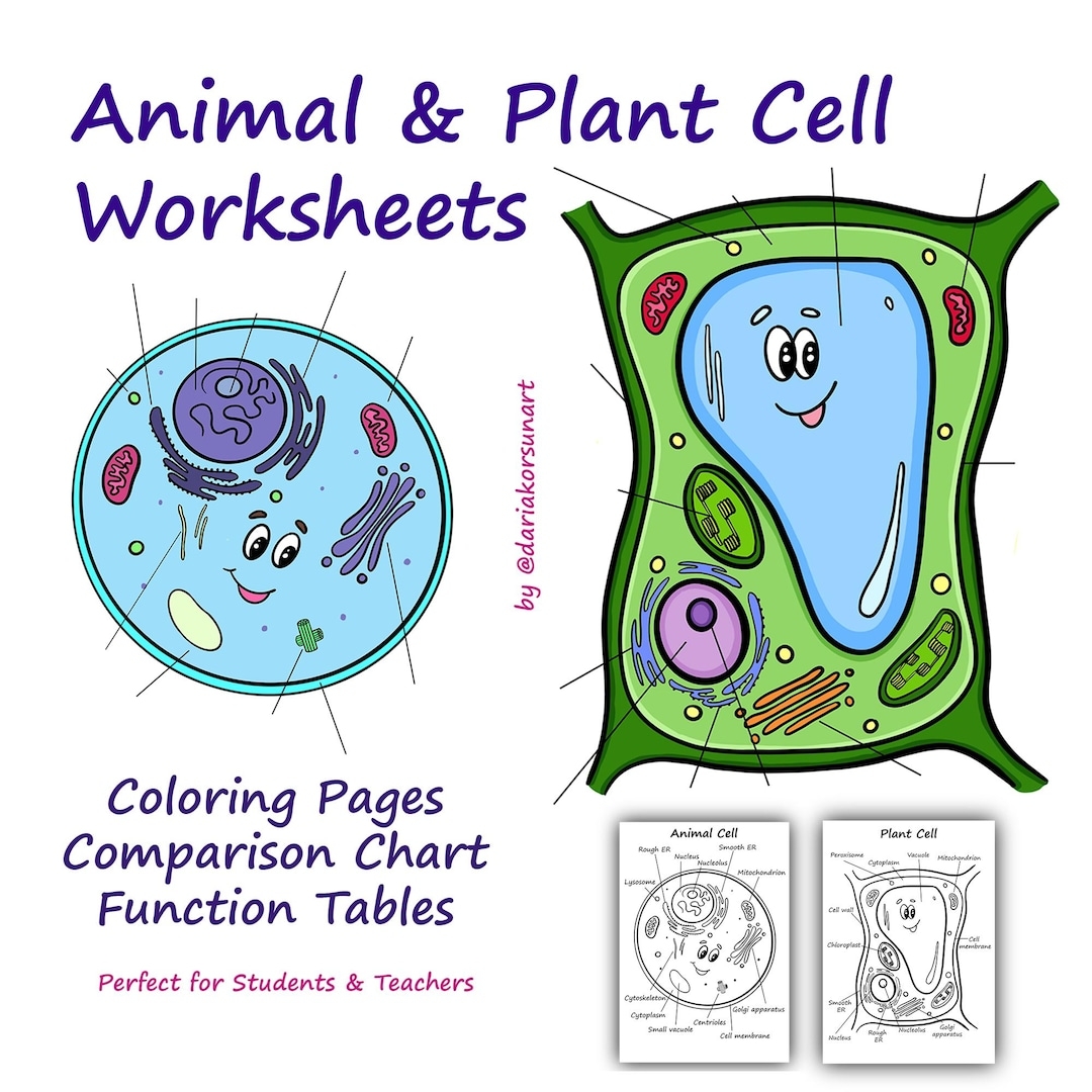 Plant Animal Cell Labeling Worksheet Biology Science Printable Fun Cell Diagram For Kids Homeschool Learning Resource Etsy
