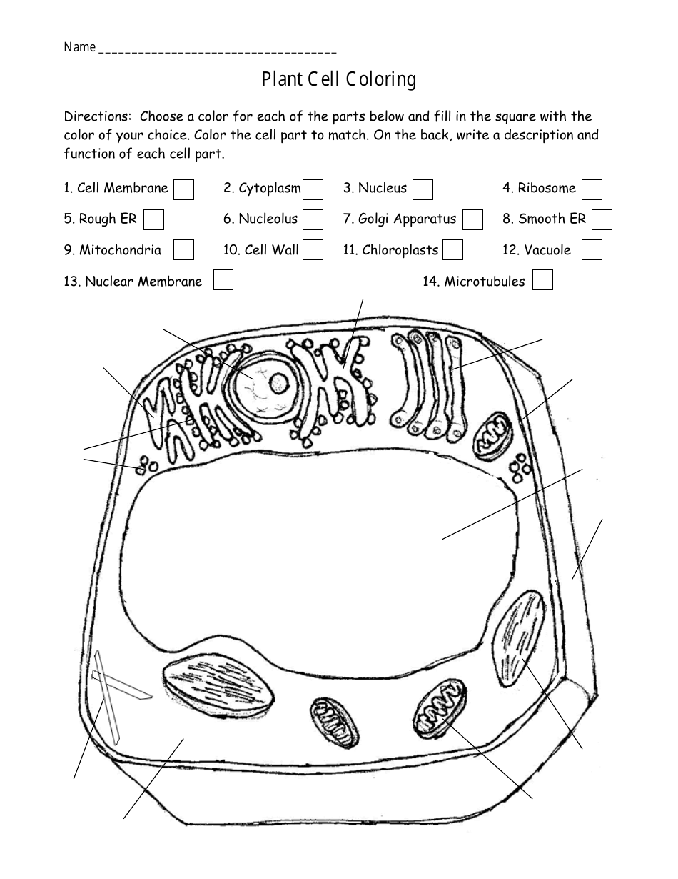 Printable Plant Cell Worksheet
