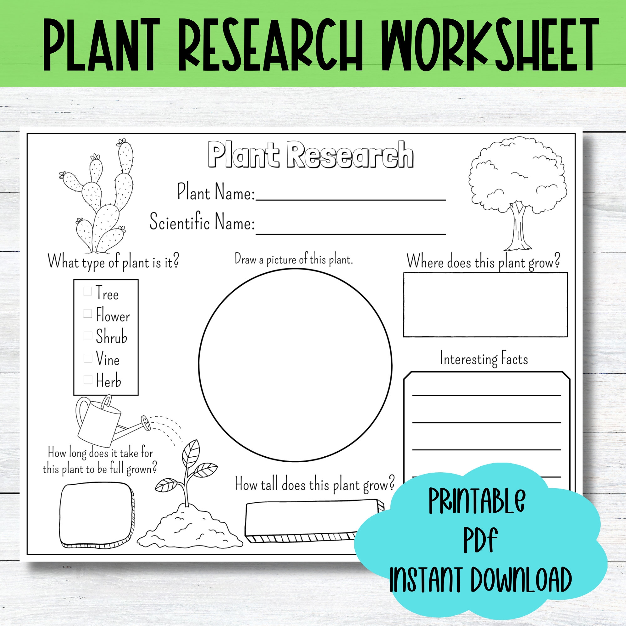 Plant Research Worksheet Homeschool Science Activity PDF Etsy Plant Research Worksheet Homeschool Science Activity PDF Etsy