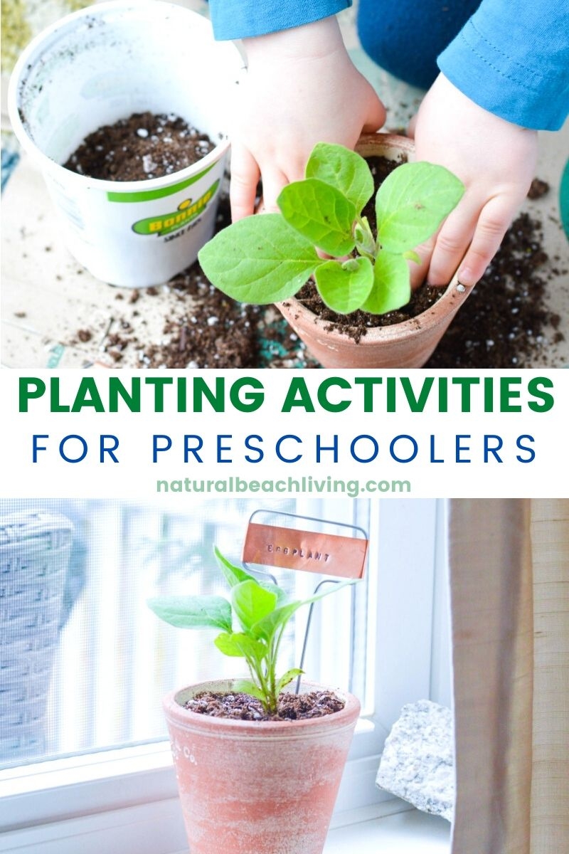 Planting Activities For Preschoolers And DIY Garden Markers Natural Beach Living