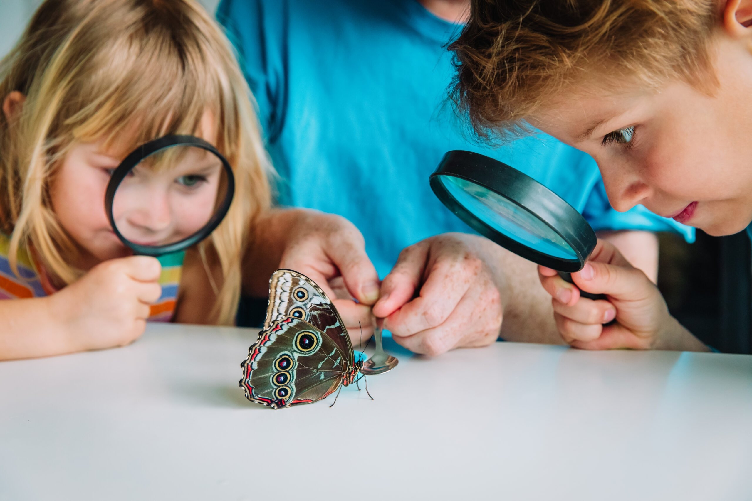 Preschool Science Activities Experiments U0026 FREE Worksheets Preschool Science Activities Experiments U0026 FREE Worksheets