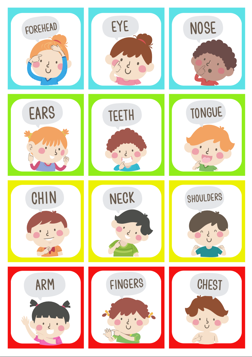 Printable FlashCard PartsofBody Tinyartisianspace