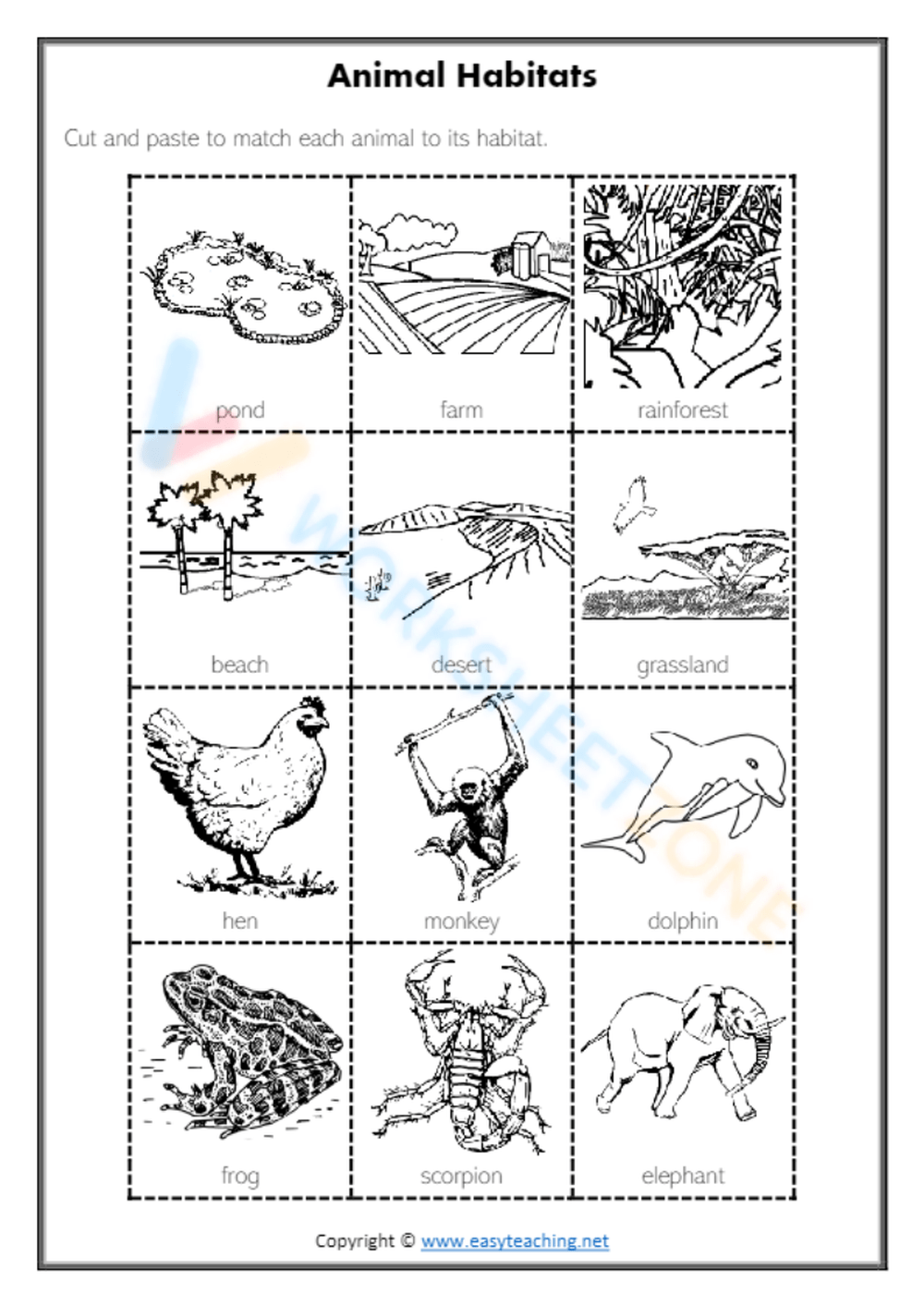 Printable Grade 4 Animal Habitats Worksheets