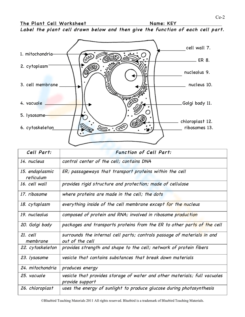 Printable Plant Cells Worksheets