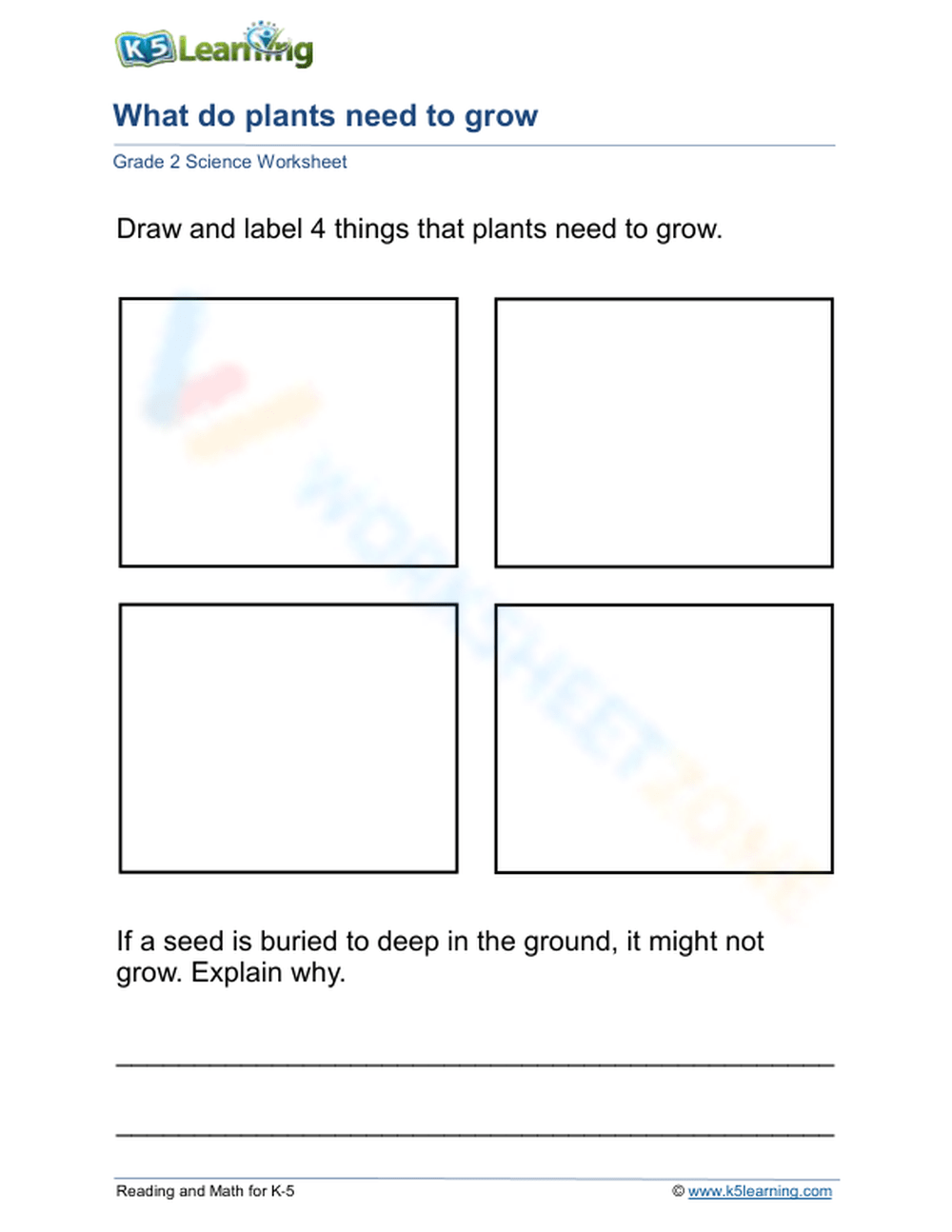 Printable Stages Of Seed Germination Worksheets