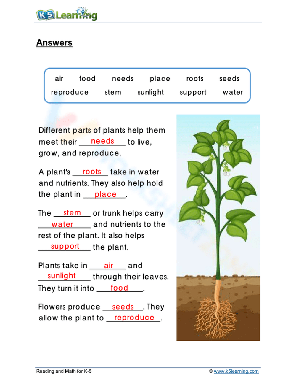 Printable Stages Of Seed Germination Worksheets